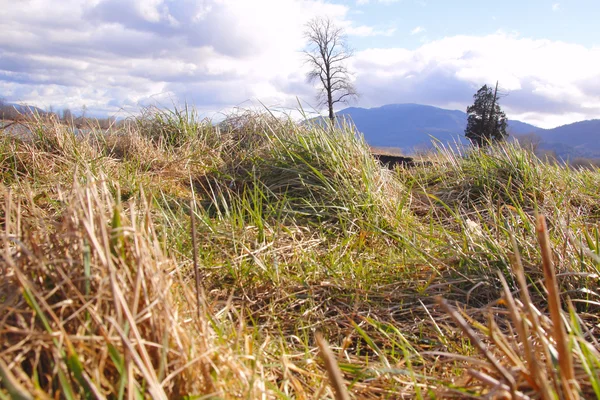 Rugged Wilderness — Stock Photo, Image