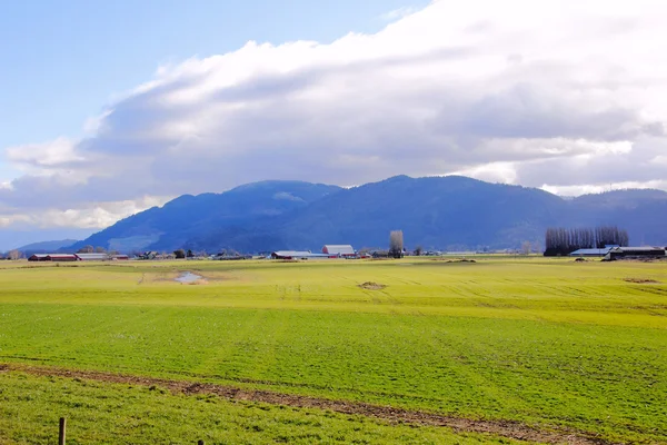 Agrarlandschaft — Stockfoto