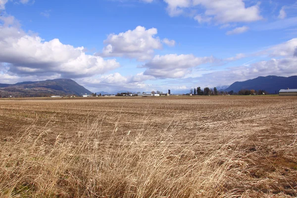 Paisagem rural — Fotografia de Stock