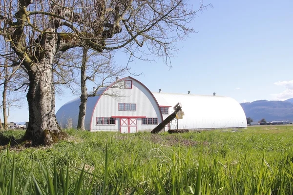 Metal Barn — Stock Photo, Image