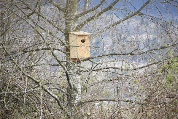 Menschengemachtes Vogelnest — Stockfoto