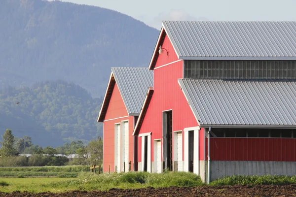 Granges rouges dans la vallée de la montagne — Photo