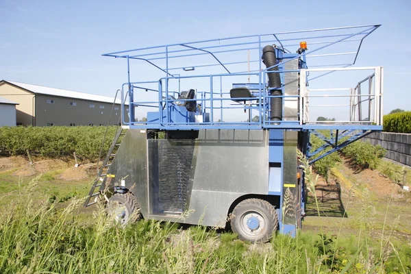 Blueberry Picker Machine — Stock Photo, Image