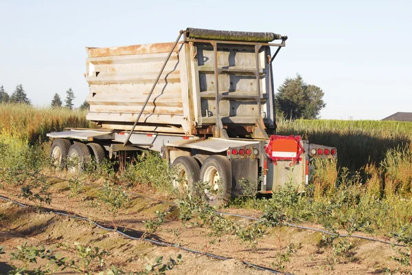 Cama de caja abierta —  Fotos de Stock