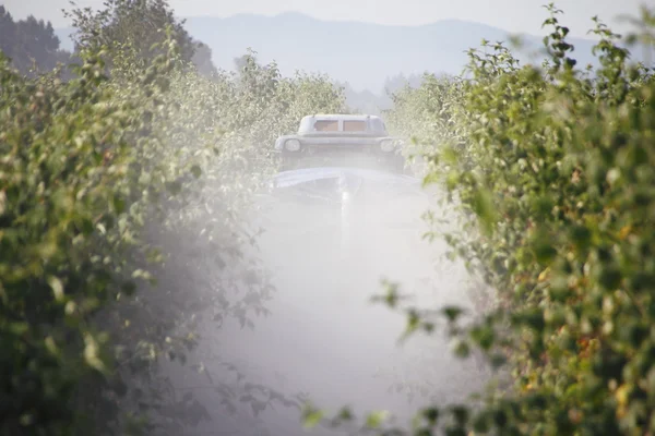 Washington Farmer spruzza prodotti chimici sulle bacche — Foto Stock