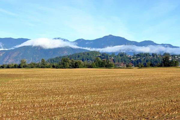 옥수수를 수확하는 모습이 내려다 보이는 아름다운 안개덮인 산맥의 — 스톡 사진