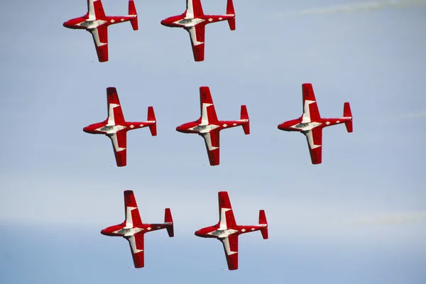 Canadese snowbirds — Stockfoto