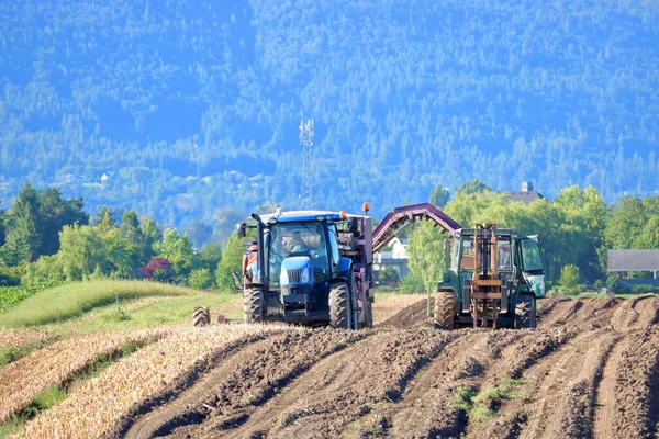 トウモロコシの残留物の在庫を耕し 収集する2つの農場機械の広い視野 残基はさらに肥料や家畜の飼料に使用されます — ストック写真
