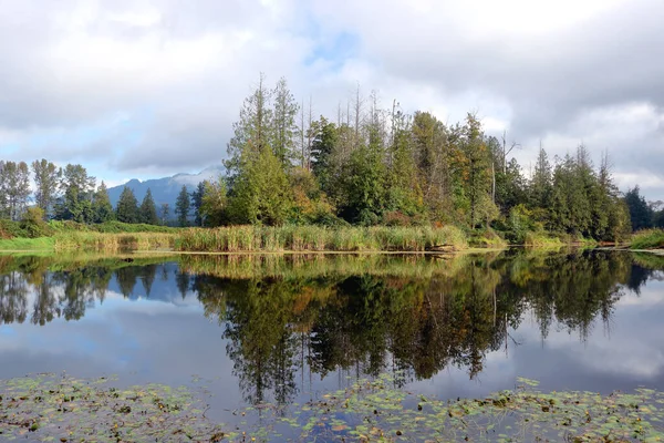 Weite Sicht Auf Spiegelglattes Und Spiegelndes Wasser Wald Und Sumpf — Stockfoto
