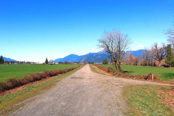 Wide View Rural Landscape Intersection Two Country Roads Spring Season — Stock Photo, Image