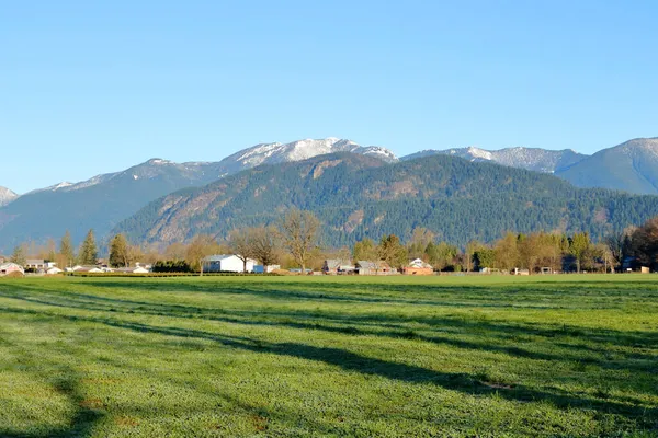 Snow Capped Mountains Dominate Early Morning Rural Valley Shadows Stretch — Stock Photo, Image