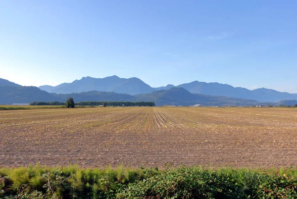 Acres Seeded Valley Grassland Found Southern British Columbia Canada Spring — Stock Photo, Image