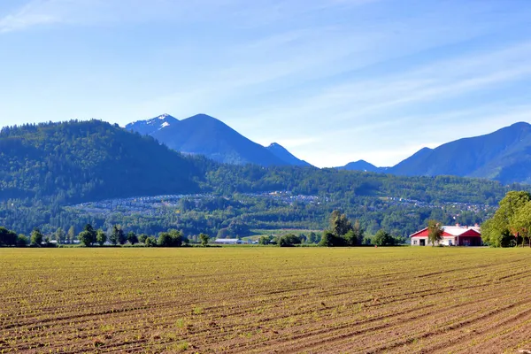 Tilled Seeded Wide View Valley Farm Acreages Beginning Transform Lush — Stock Photo, Image