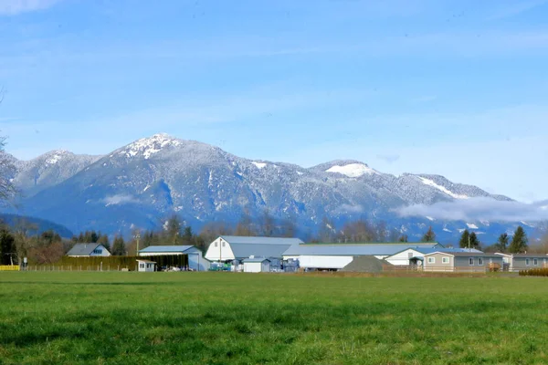 Wide Variety Farm Residential Buildings Field Grassland Overlooked Tall Snow — Stock Photo, Image