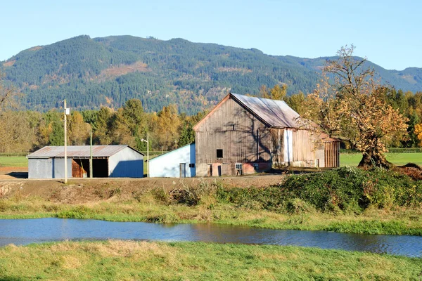 秋天的时候 在一个山谷里 一群农舍沿着一条小溪屹立着 — 图库照片