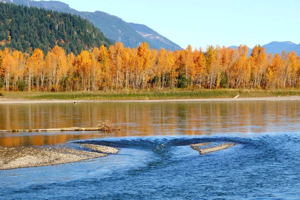 秋天的几个月里 在一个偏远的北美山谷里 可以俯瞰到一条河流的沙洲 — 图库照片