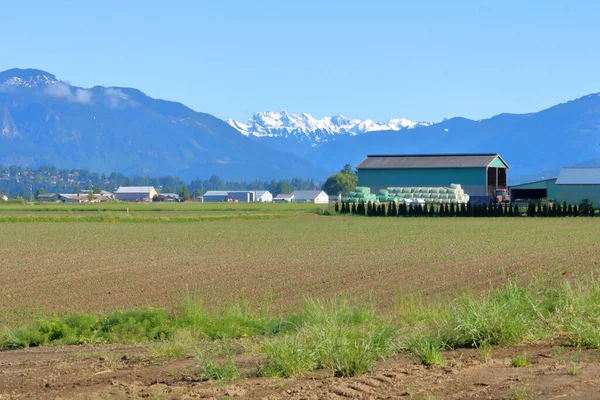 Ein Gebirge Das Landwirtschaftliche Nutzflächen Einrahmt Und Die Schwere Schneedecke — Stockfoto