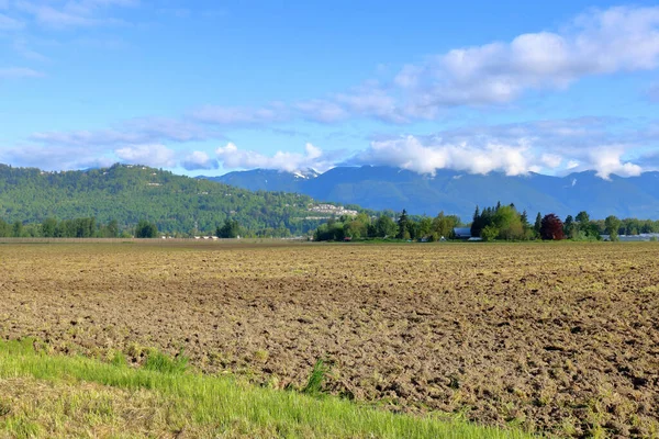 Wide Landscape View Tilled Spring Acreages Found Sumas Prairie Eastern — Stock Photo, Image