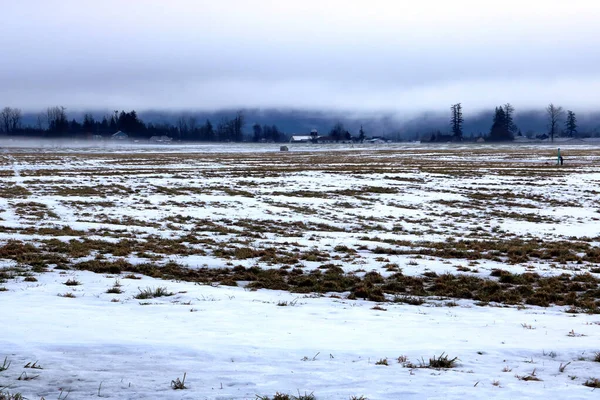 Zware Mist Sneeuw Bezetten Een Landschappelijk Uitzicht Landelijke Fraser Valley — Stockfoto