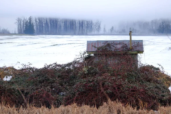 Ampla Vista Perfil Uma Cabana Caçador Norte Canadá Inverno Que — Fotografia de Stock