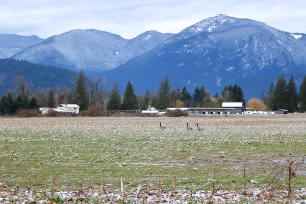 Wide Open Rural Scene Found Winter Months Canadian Cascade Mountain — Stock Photo, Image