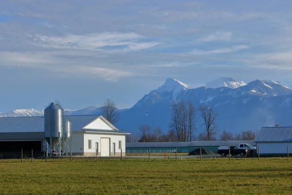 广阔的农业景观以农场建筑 谷物仓和不列颠哥伦比亚省的Cheam山为背景 — 图库照片