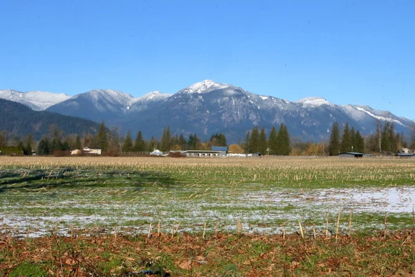 Beautiful Snow Capped Mountains Overlook Acres Corn Stock Plowed Springtime — Stock Photo, Image