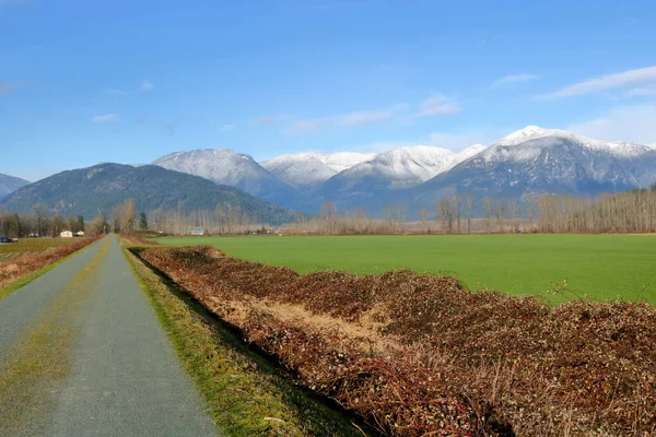 Wide Open View Fraser Valley Winter Months Agricultural Landscape Surrounded — Stock Photo, Image