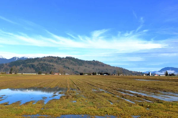 Vue Panoramique Paysagère Des Superficies Agricoles Rurales Des Eaux Stagnantes — Photo