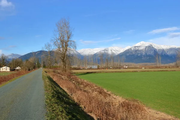 Vue Large Paysagère Une Digue Construite Pour Protéger Les Cultures — Photo