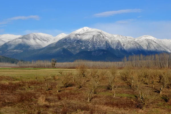 Neve Coberta Canadense Gama Montanhas Cascade Dominar Paisagem Agrícola Estamos — Fotografia de Stock