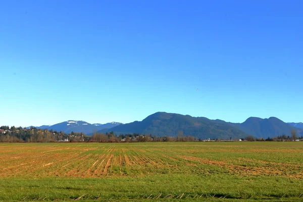 Wide Open Agricultural Land Clear Jet Blue Sky Valley Grassland — Stock Photo, Image