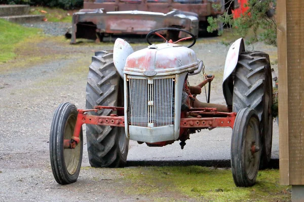 Full Frontal View Antique Ford Tractor 1950 — Photo