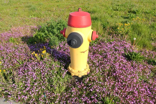 High Angle View Red Black Yellow Fire Hydrant Throwing Shadow — Photo