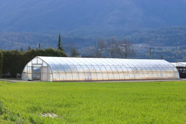 Full Length View Single Greenhouse Used Commercial Purposes — Stock Photo, Image