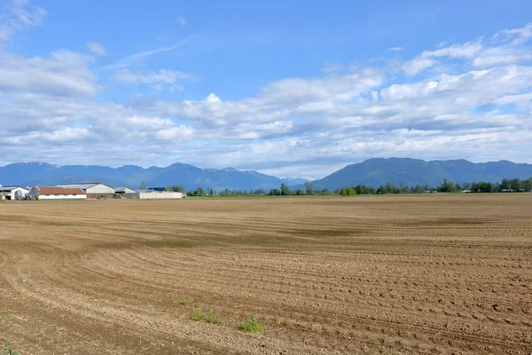 Wide Landscape View Rural Fraser Valley Southwestern British Columbia Farming — Stock Photo, Image