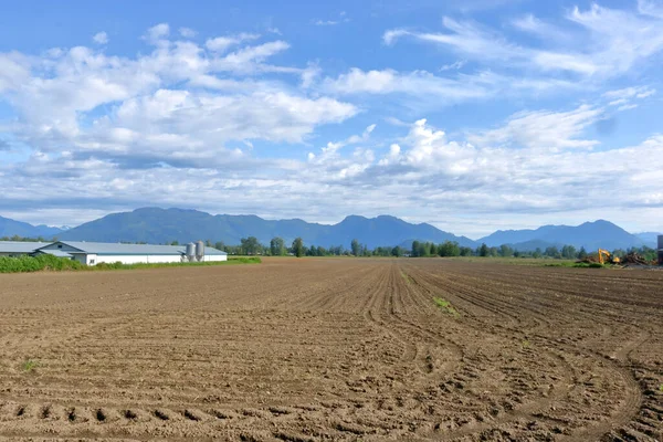 Amplia Vista Del Paisaje Una Vibrante Granja Rural Durante Las — Foto de Stock