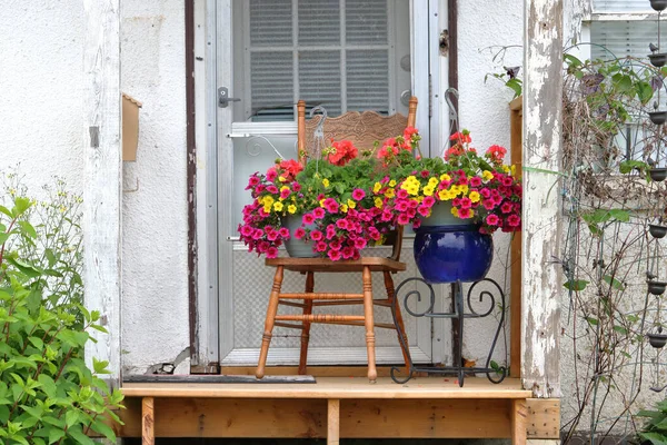 Beautiful Display Potted Yellow Red Geraniums Stand Front Door Simple — Stock Photo, Image