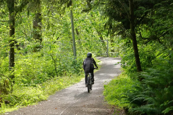 Full View Lone Cyclist Winding Nature Trail Filtering Morning Sunlight — 图库照片