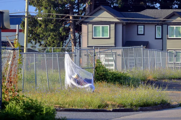 Wide View Homeless Person Using Netting Encampment Escape Summer Mosquitoes —  Fotos de Stock