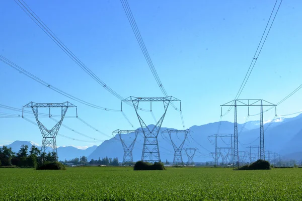Wide View Major Hydro Transmission Line Consisting Three Rows Towers — Stockfoto