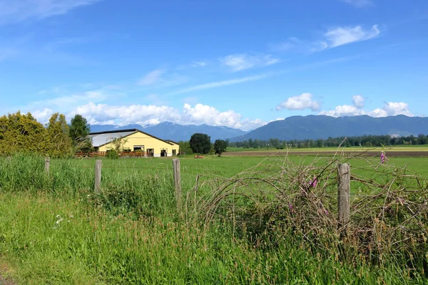 Wide Open Agricultural Landscape Beautiful Spring Valley — Stock Photo, Image