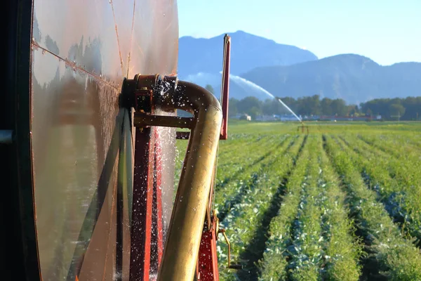 Water Spews Hose Wasting Water Used Irrigating Crops — Stok fotoğraf