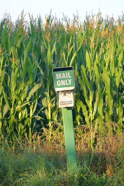 Vertical View Very Simple Traditional Set Rural Mailboxes English Labels — стоковое фото