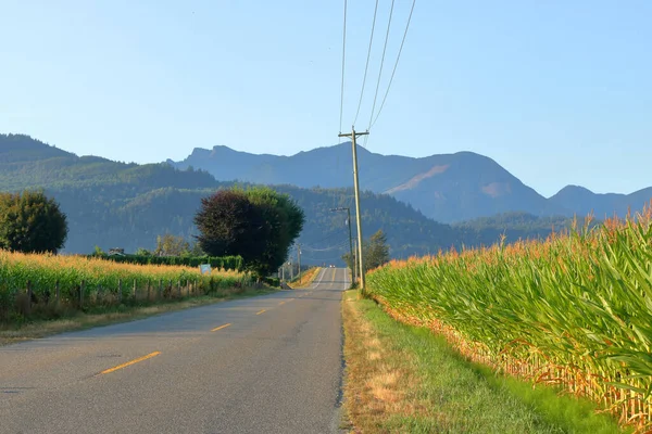 Breed Uitzicht Een Landelijke Landweg Een Vallei Omgeven Door Hectaren — Stockfoto