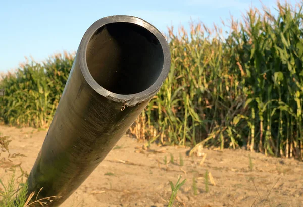 Extreme close-up of a plastic pipe or conduit that will be used for irrigating a nearby cornfield.