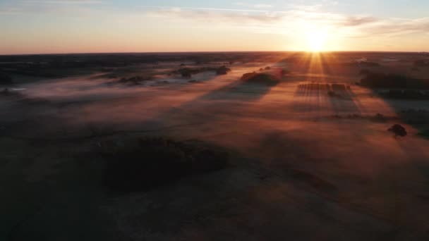 Majestätisk antenn utsikt över Misty Fields tas under soluppgången — Stockvideo