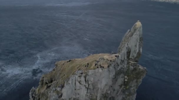 Piękny widok na Bird 's Eye Shot of Horizon z śladami opon i Sea Stack — Wideo stockowe