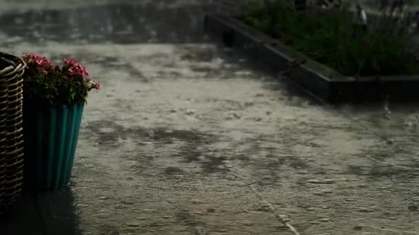 Zware regenval op beton in Slowmo met Plantbox en struiken op de achtergrond — Stockvideo