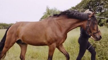 Ata Binen Kadın At Yürüyüşü Taşra Yolunda